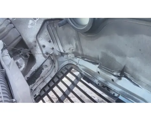 FREIGHTLINER CASCADIA 113 HOOD