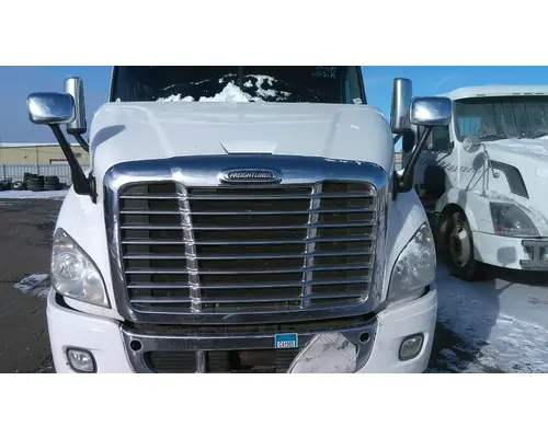 FREIGHTLINER CASCADIA 113 HOOD