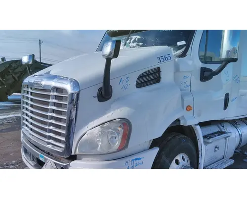 FREIGHTLINER CASCADIA 113 HOOD