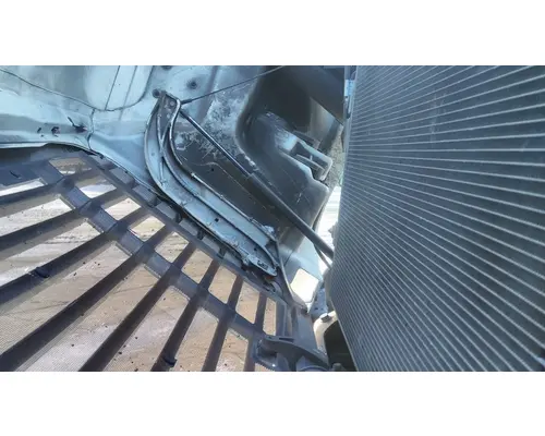 FREIGHTLINER CASCADIA 113 HOOD