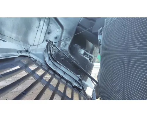 FREIGHTLINER CASCADIA 113 HOOD