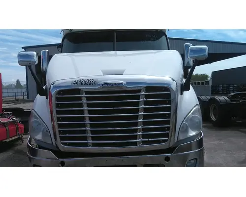 FREIGHTLINER CASCADIA 113 HOOD