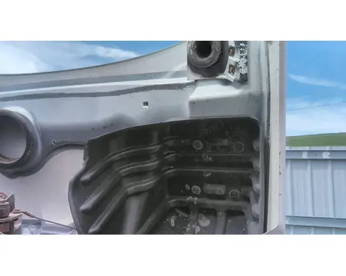 FREIGHTLINER CASCADIA 113 HOOD