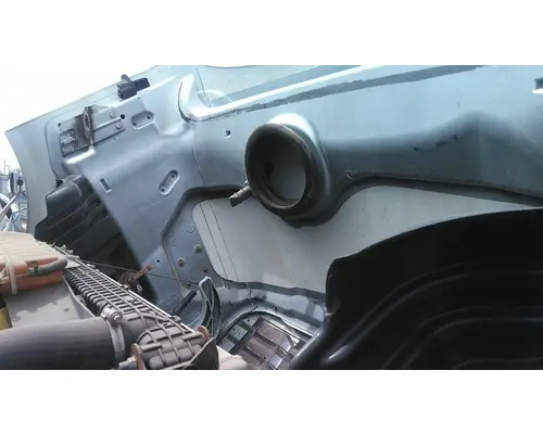 FREIGHTLINER CASCADIA 113 HOOD