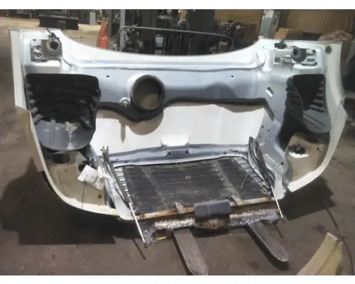 FREIGHTLINER CASCADIA 113 HOOD