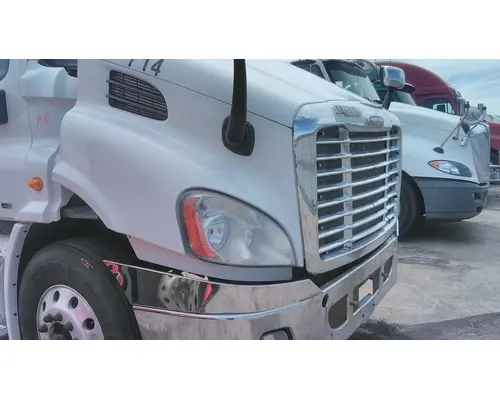FREIGHTLINER CASCADIA 113 HOOD