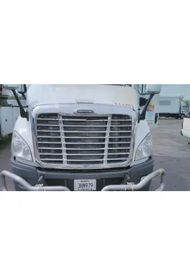 FREIGHTLINER CASCADIA 113 HOOD