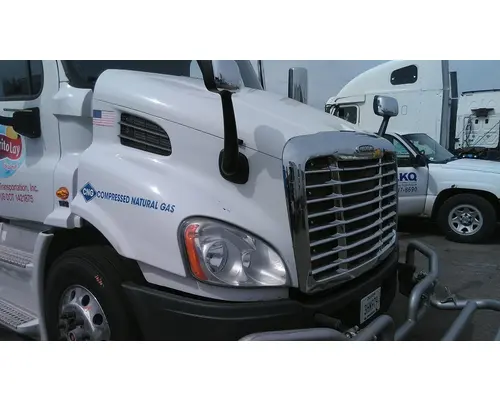 FREIGHTLINER CASCADIA 113 HOOD