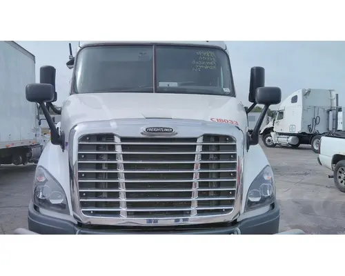 FREIGHTLINER CASCADIA 113 HOOD