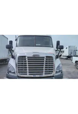 FREIGHTLINER CASCADIA 113 HOOD