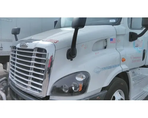 FREIGHTLINER CASCADIA 113 HOOD