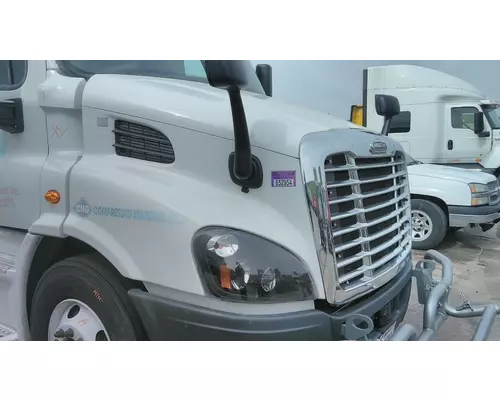FREIGHTLINER CASCADIA 113 HOOD