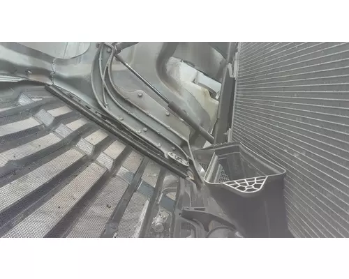 FREIGHTLINER CASCADIA 113 HOOD