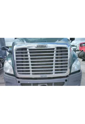 FREIGHTLINER CASCADIA 113 HOOD