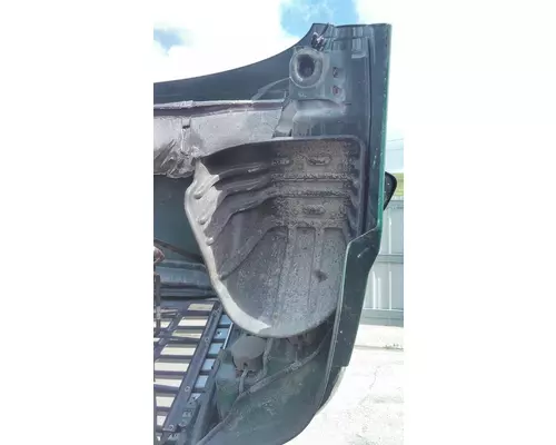 FREIGHTLINER CASCADIA 113 HOOD