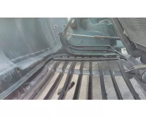 FREIGHTLINER CASCADIA 113 HOOD