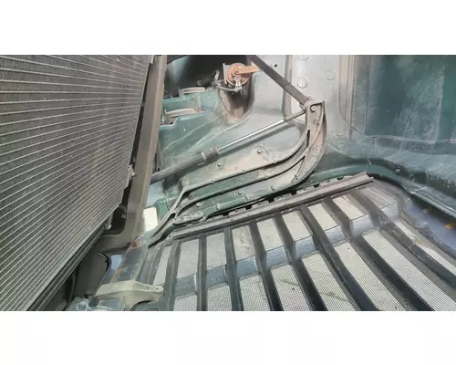 FREIGHTLINER CASCADIA 113 HOOD