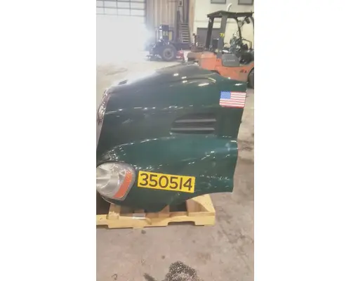 FREIGHTLINER CASCADIA 113 HOOD