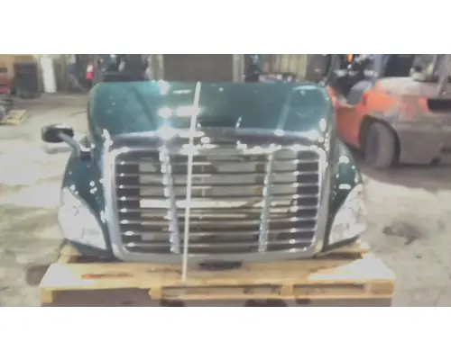 FREIGHTLINER CASCADIA 113 HOOD