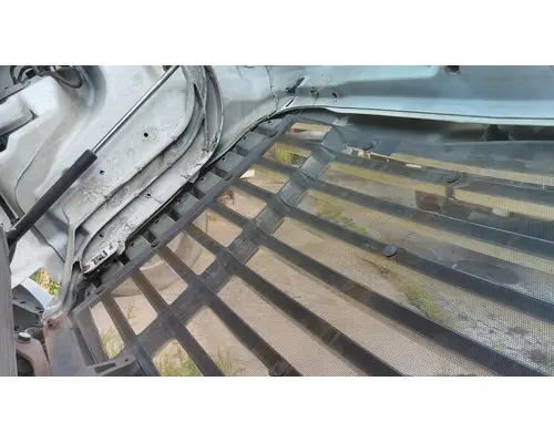 FREIGHTLINER CASCADIA 113 HOOD