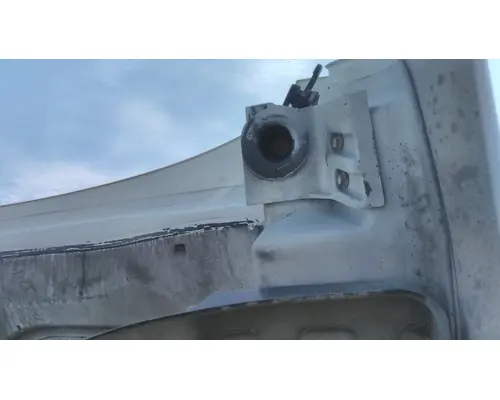 FREIGHTLINER CASCADIA 113 HOOD