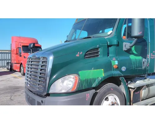 FREIGHTLINER CASCADIA 113 HOOD