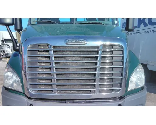 FREIGHTLINER CASCADIA 113 HOOD