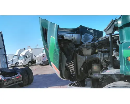 FREIGHTLINER CASCADIA 113 HOOD