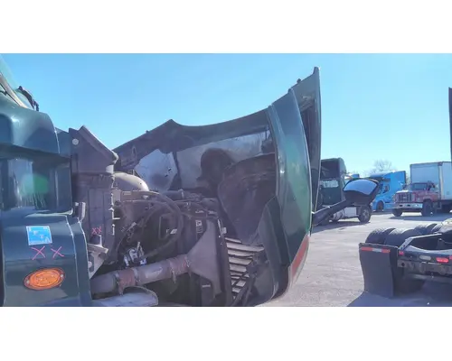 FREIGHTLINER CASCADIA 113 HOOD