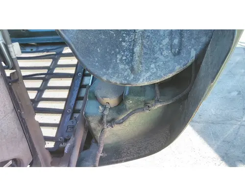 FREIGHTLINER CASCADIA 113 HOOD