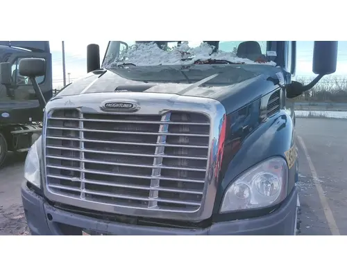 FREIGHTLINER CASCADIA 113 HOOD
