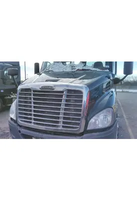 FREIGHTLINER CASCADIA 113 HOOD