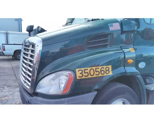 FREIGHTLINER CASCADIA 113 HOOD