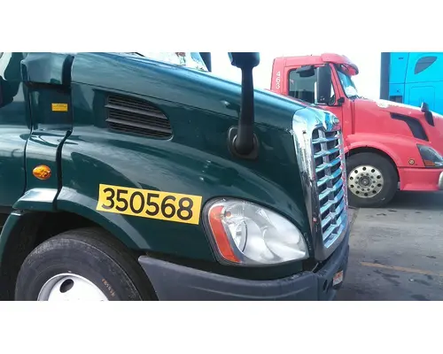FREIGHTLINER CASCADIA 113 HOOD