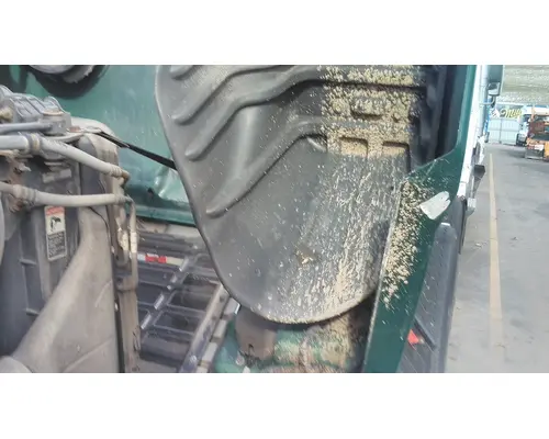 FREIGHTLINER CASCADIA 113 HOOD