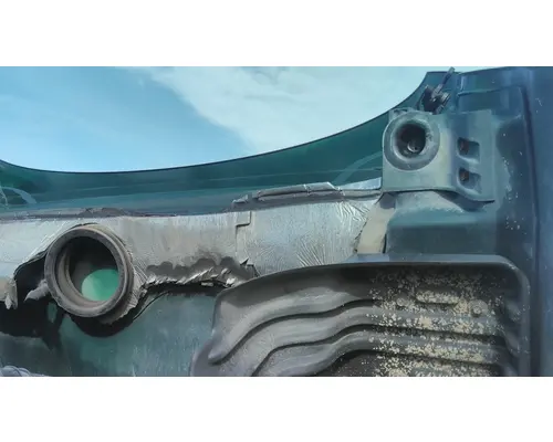 FREIGHTLINER CASCADIA 113 HOOD