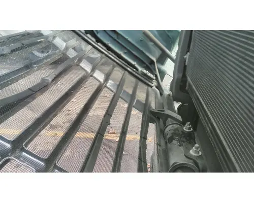 FREIGHTLINER CASCADIA 113 HOOD