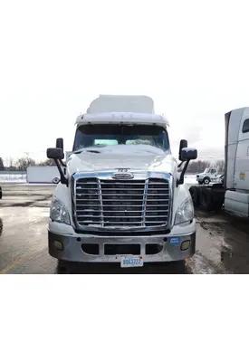 FREIGHTLINER CASCADIA 113 HOOD