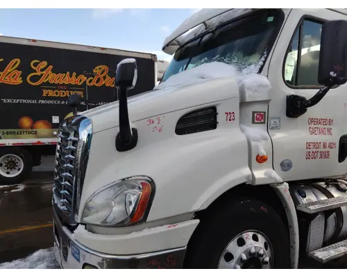 FREIGHTLINER CASCADIA 113 HOOD