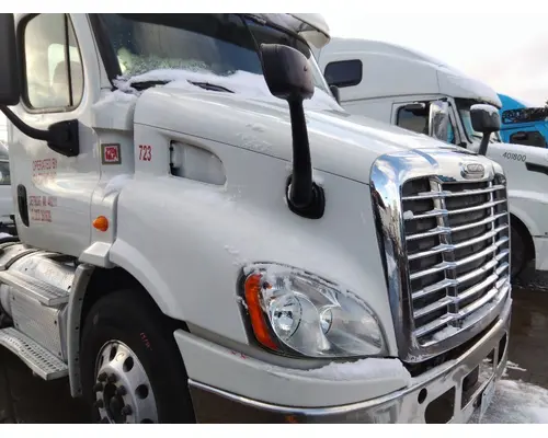 FREIGHTLINER CASCADIA 113 HOOD