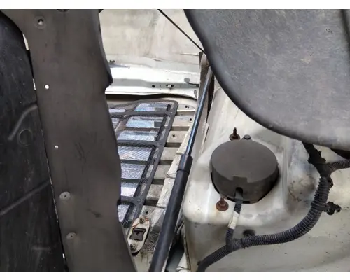 FREIGHTLINER CASCADIA 113 HOOD