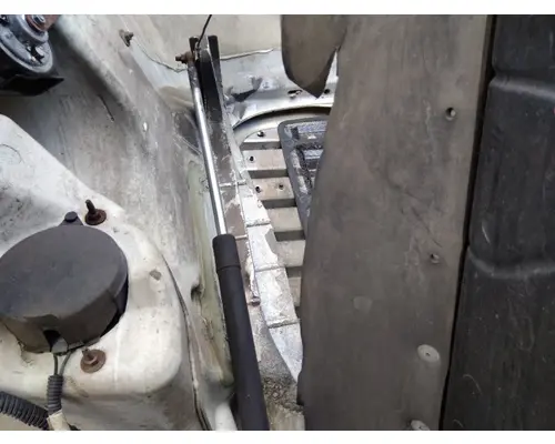 FREIGHTLINER CASCADIA 113 HOOD