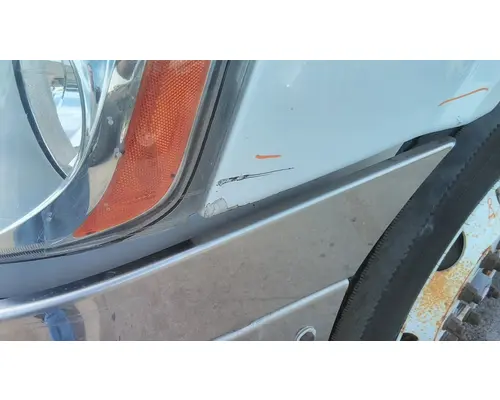 FREIGHTLINER CASCADIA 113 HOOD