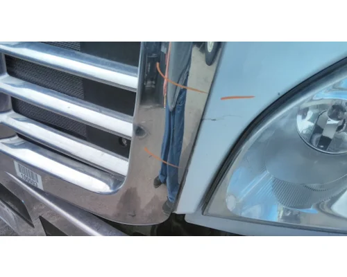 FREIGHTLINER CASCADIA 113 HOOD