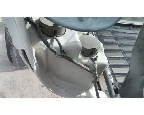 FREIGHTLINER CASCADIA 113 HOOD