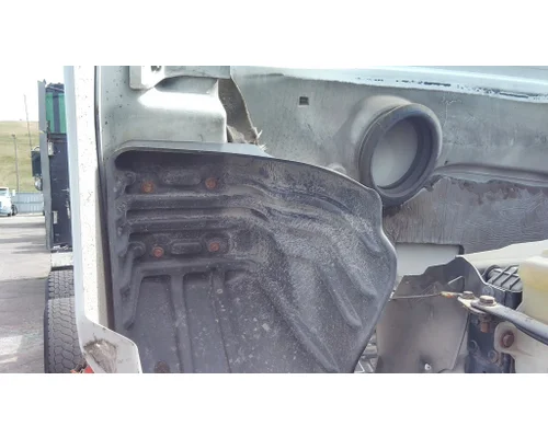 FREIGHTLINER CASCADIA 113 HOOD