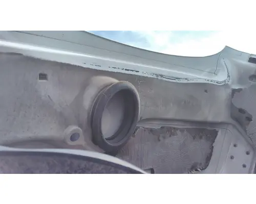 FREIGHTLINER CASCADIA 113 HOOD