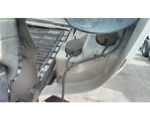 FREIGHTLINER CASCADIA 113 HOOD