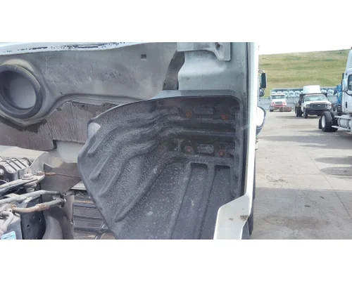 FREIGHTLINER CASCADIA 113 HOOD