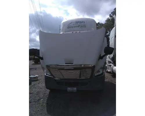 FREIGHTLINER CASCADIA 113 HOOD